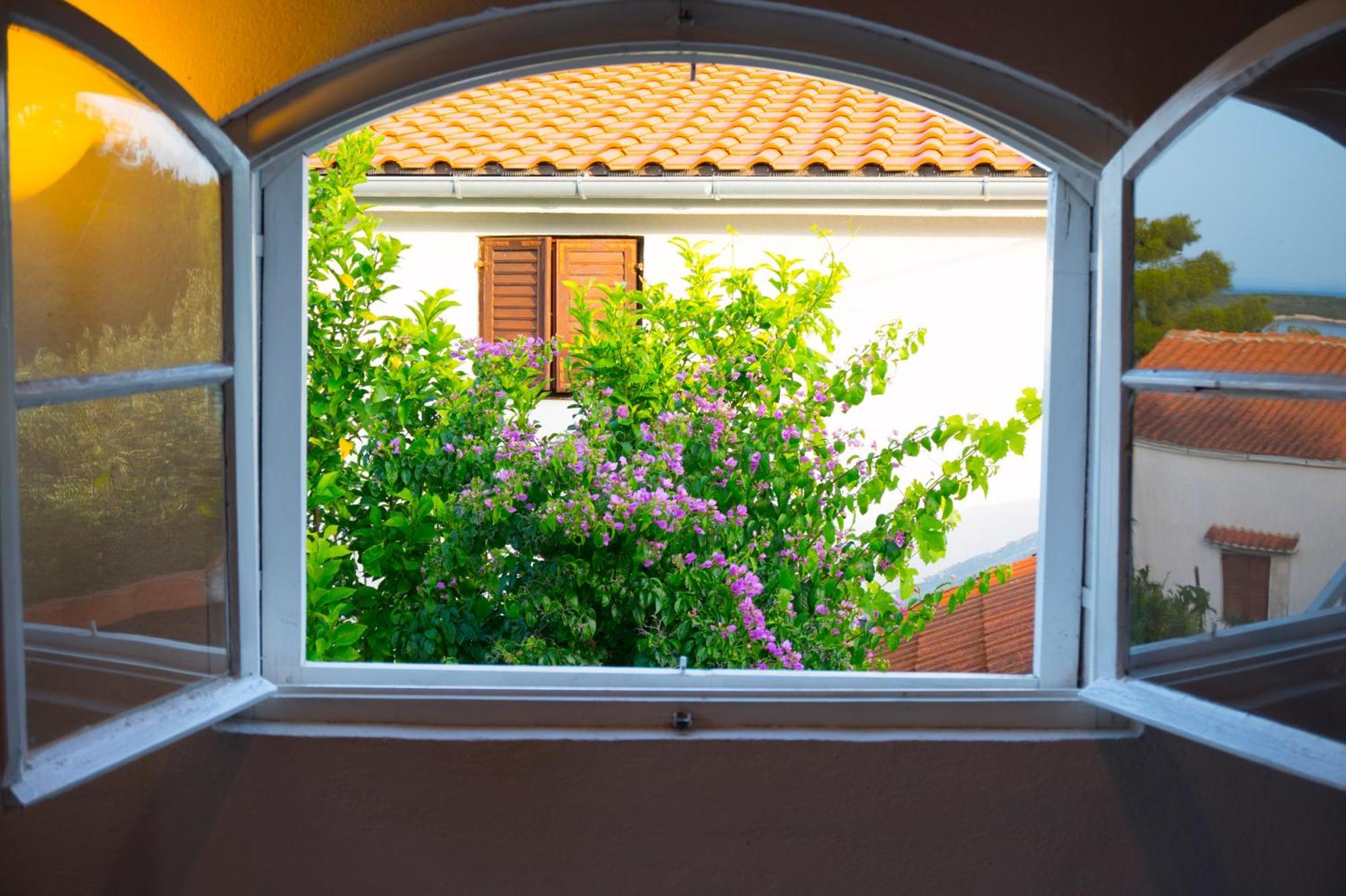 The Sea House Apartments Vis Kamer foto